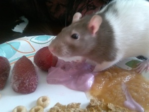 MaryJane eating a yummy healthy snack! 